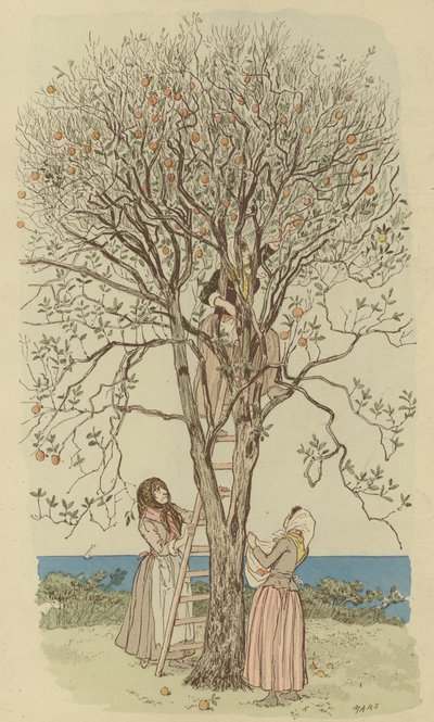 Cueillir des oranges sur la Méditerranée - Maurice Charles Mathieu Bonvoisin