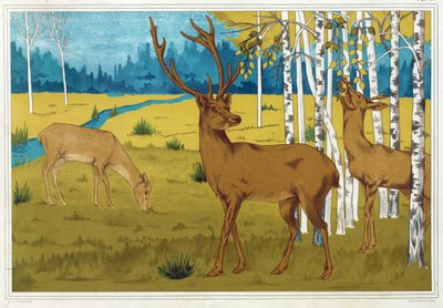 Cerf, de 