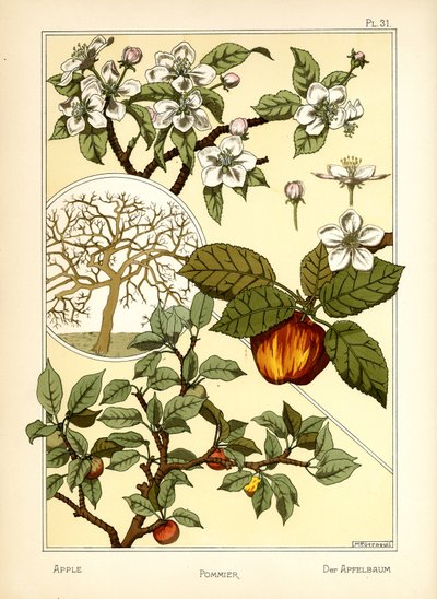 Le Pommier - Maurice Pillard Verneuil