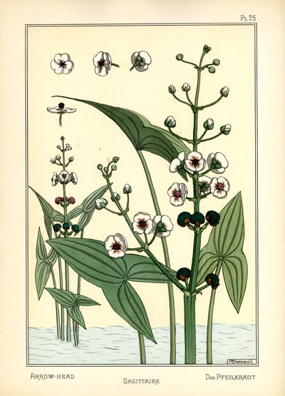 La Flèche - Maurice Pillard Verneuil