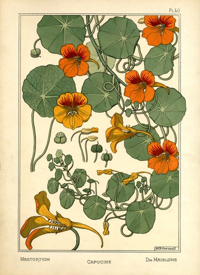 La Capucine - Maurice Pillard Verneuil