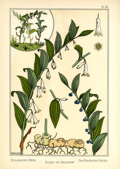 Le Sceau de Salomon - Maurice Pillard Verneuil
