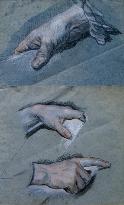 Étude des mains d