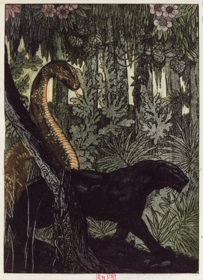La chasse de Kaa, illustration du 