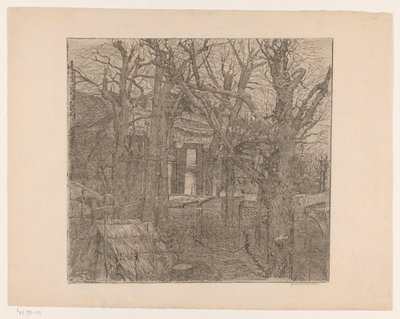 Arbres autour d