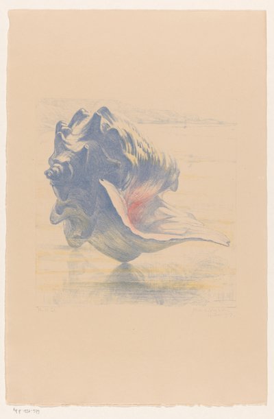 Coquillage - Maurits van der Valk (signed by artist)