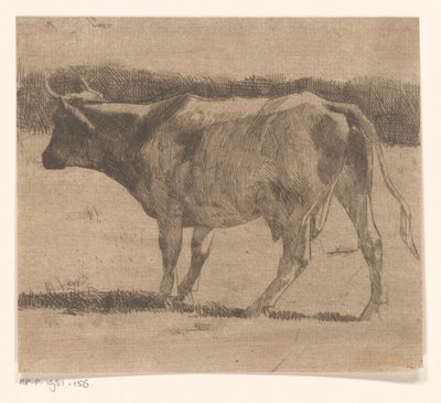 Vache dans un pré - Maurits van der Valk