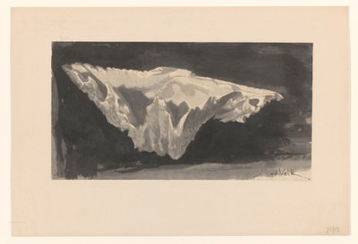 Coquillage sur fond noir - Maurits van der Valk