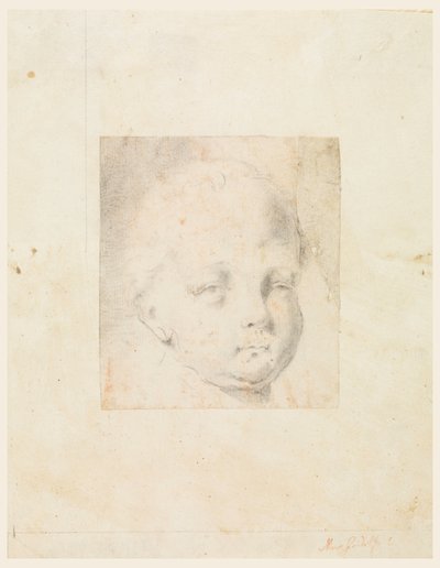 Dessin, étude : Tête de garçon, 1810-34 - Mauro Gandolfi