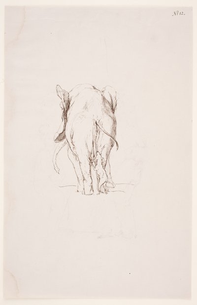 "Weg der Befleckung" - "Éléphant et chien renifleur" - Max Klinger