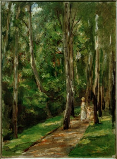 Chemin de bouleaux à Wannsee vers l