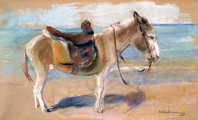 Âne sur la plage de Noordwijk, 1908 - Max Liebermann