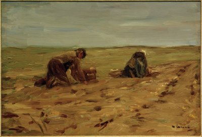 Récolte de pommes de terre dans les dunes - Max Liebermann