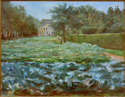 Champ de choux dans le jardin de Wannsee vers l