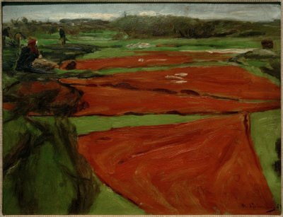 Prairie avec filets et voiles étendus - Max Liebermann
