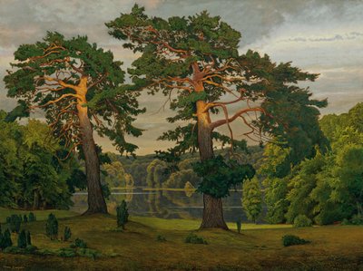Des pins à la lisière de la forêt - Max Zaeper