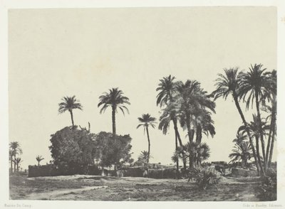 Village de Hamameh, Haute-Égypte, 1849-51, imprimé en 1852 - Maxime Du Camp
