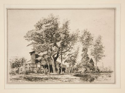 Acacias - Maxime Lalanne