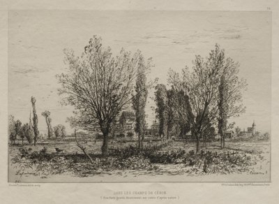 Dans les champs de Cénon - Maxime Lalanne