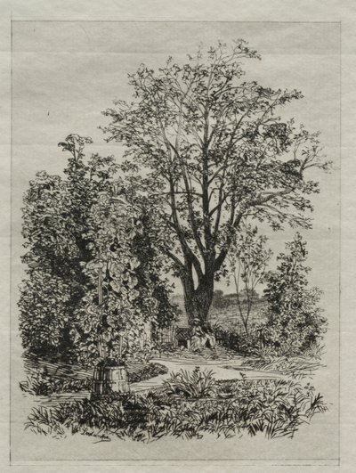Dans mon Jardin de Bordeaux - Maxime Lalanne