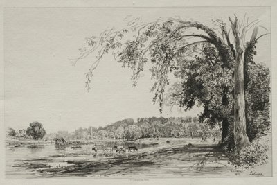 Richmond - Maxime Lalanne