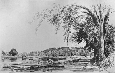 Vue de Richmond depuis la Tamise - Maxime Lalanne
