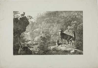 Le Cerf et le Chamois - Maximilian Josef Wagenbauer