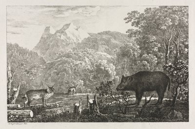 Sanglier, Chat sauvage et Lynx, 1807 - Maximilian Josef Wagenbauer
