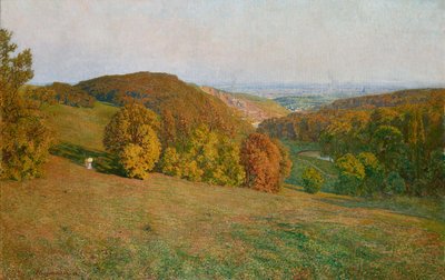 Vienne depuis le Kobenzl - Maximilian Suppantschitsch