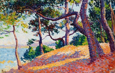 Paysage à Saint-Tropez - Maximilien Luce