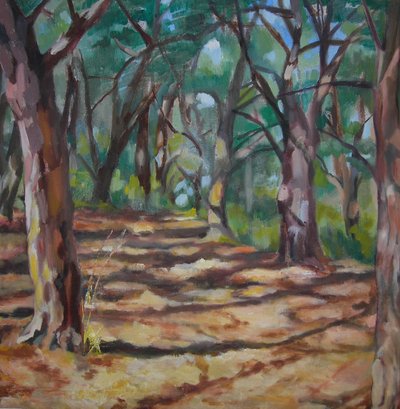Sentier forestier ombragé - Maxine Shore