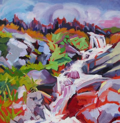 Une cascade de montagne pleine de vie - Maxine Shore