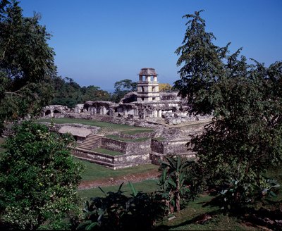 Civilisation précolombienne : vue du site de Palenque - Mayan Mayan