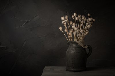 Nature morte sombre avec capsule de pavot - Mayra Pama