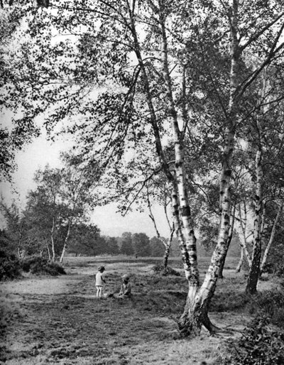 Putney Heath, Londres, 1926-1927 - McLeish