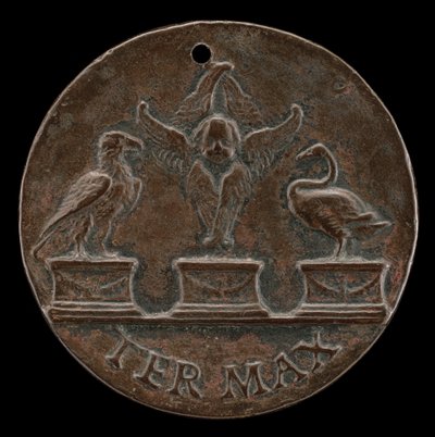 Chérubin, cygne et aigle [verso] - Mea