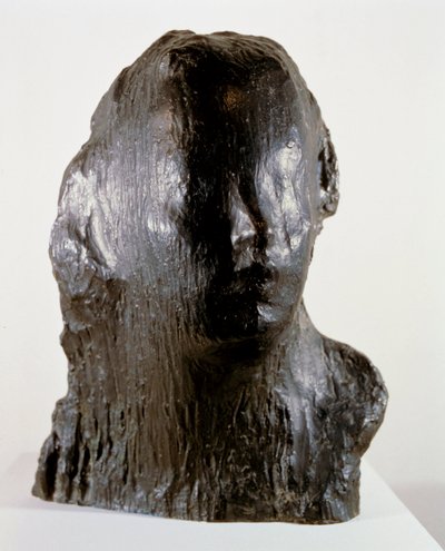 Ecco Puer (Portrait d