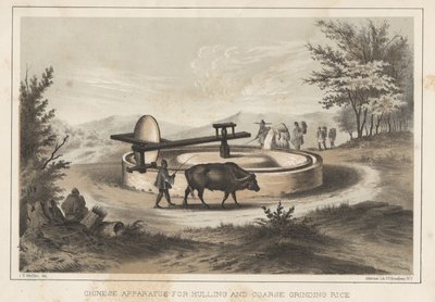 Appareil chinois pour décortiquer et broyer grossièrement le riz, 1855 - Meffert