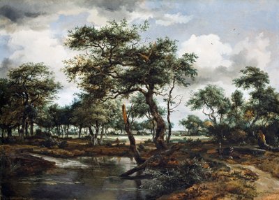 Un étang dans la forêt, 1668 - Meindert Hobbema