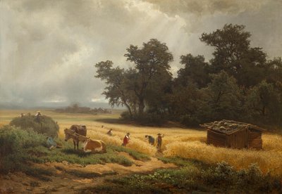 Paysage d