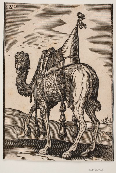 Un chameau sellé - Melchior Lorck
