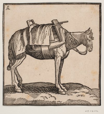 Un cheval de bât sellé - Melchior Lorck