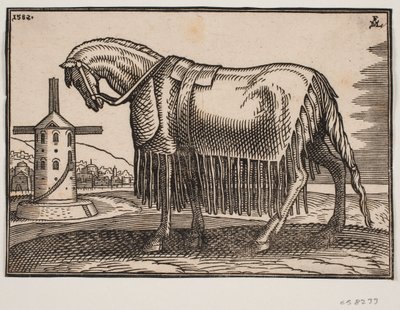Cheval, couvert d