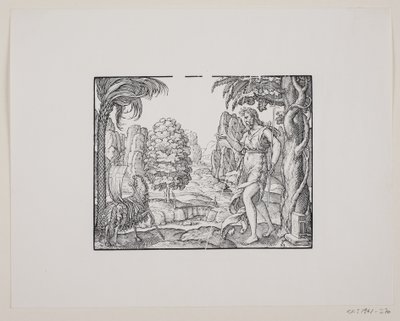 Jean-Baptiste dans le désert - Melchior Lorck
