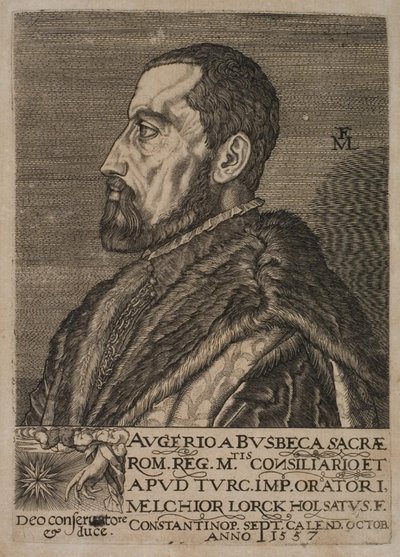 Portrait d