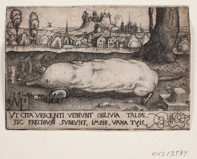 La taupe - Melchior Lorck