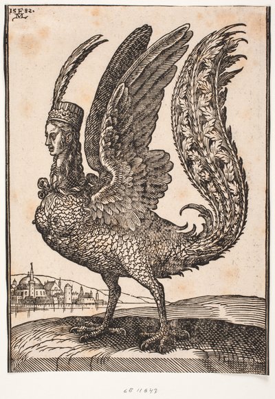 Animal mythique non identifié, harpie ou sirène - Melchior Lorck