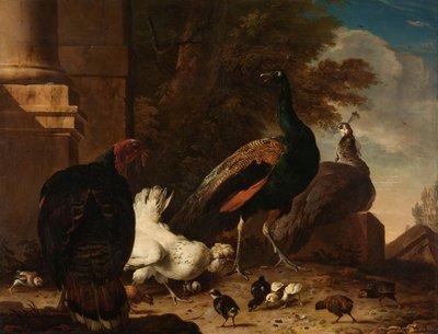 Une poule avec des paons et une dinde - Melchior d