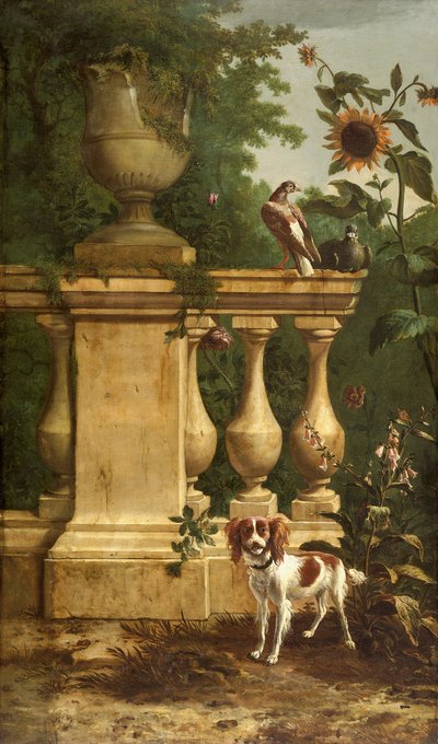 Pigeons et un chien dans un jardin - Melchior d