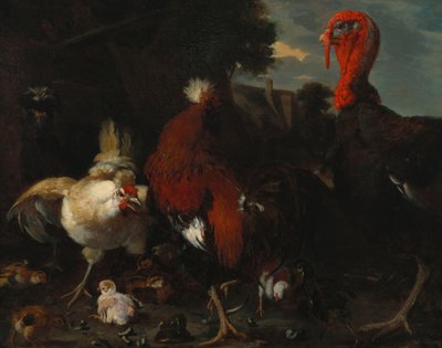 Une Poule, un Coq et une Dinde dans une Basse-cour - Melchior de Hondecoeter